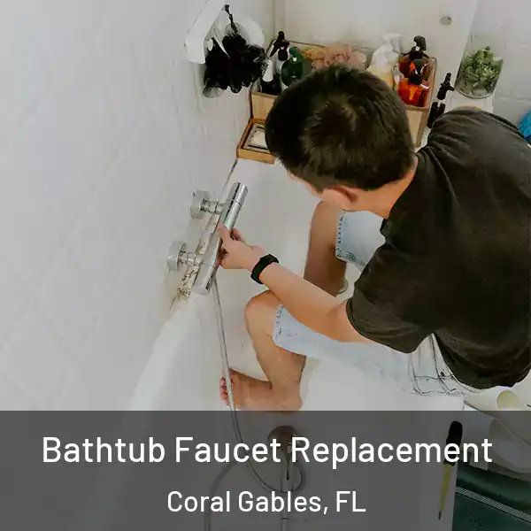  Bathtub Faucet Replacement Coral Gables, FL