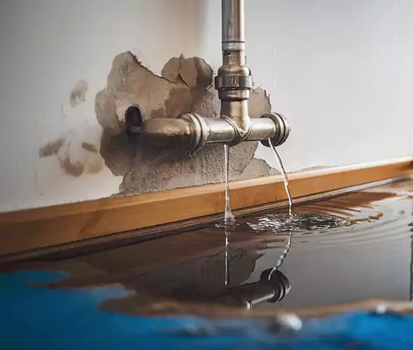 Professional Water Damage Restoration Experts in Coral Gables, FL — Fast, Reliable & Certified