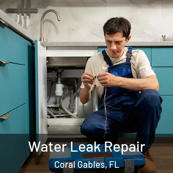  Water Leak Repair Coral Gables, FL
